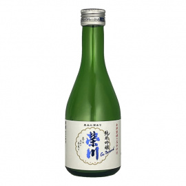 榮川　純米吟醸「ＧＯ　ＢＥＹＯＮＤ」300ml