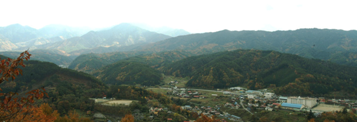 森の神、川の神・・・・・・四季折々の山紫水明に抱かれた”うまい酒の国”