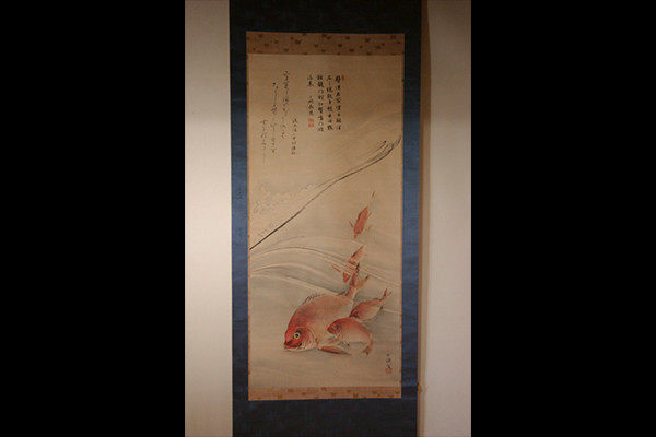 久保田米僊(くぼたべいせん)作 鳴門鯛の掛軸の写真