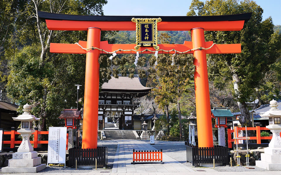 松尾大社の鳥居写真
